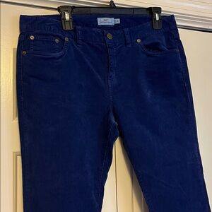 Vineyard vines low rise royal blue corduroy pants.  Size 12
